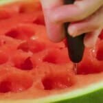 melon baller
