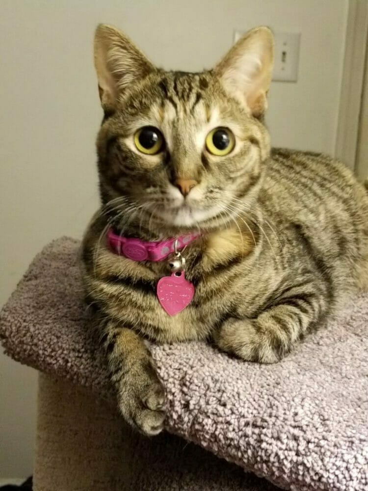 My little girl Lucie