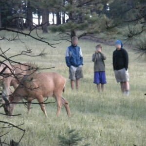 Boys looking at deer at Head of Dean