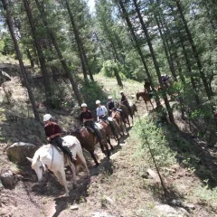 Horseback Trail Ride