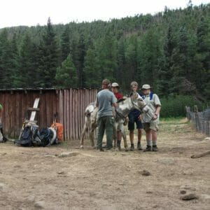 Tacking up Norman Tacking up Norman