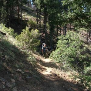 Uphill all the way Uphill all the way