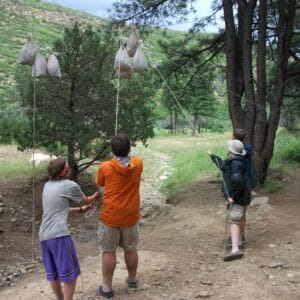 Hanging the Bear Bags Hanging the Bear Bags
