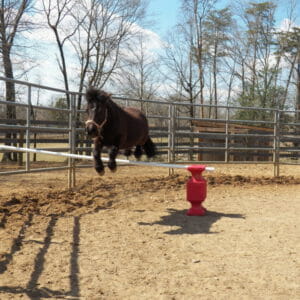 Rebel Jumping