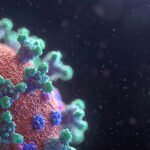 Corona Virus - COVID-19