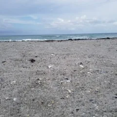 Listening to the waves Listening to the waves