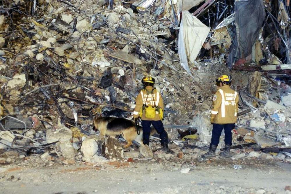 Fairfax Fire Dept looking at the rubble