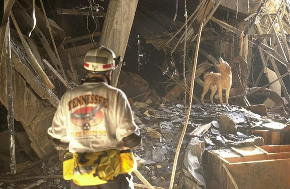 Trained rescue dog Gus and his trainer Ed Apple from the Tennessee Task Force One Search & Rescue team searching for survivors in the wreckage at the Pentagon. (Photo by Mai/Mai/Time Life Pictures/Getty Images)