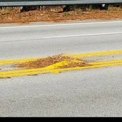 Nice paint job Nice paint job