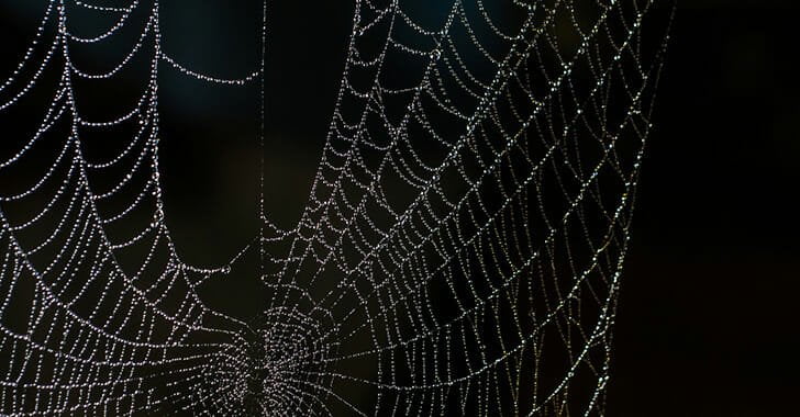Dark Spider Web