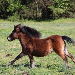 Dixie having some fun on a nice spring day Dixie having some fun on a nice spring day