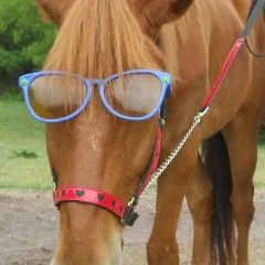 Goodie showing off his glasses Goodie showing off his glasses