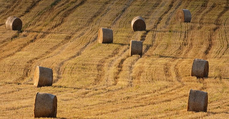 Round hay bales