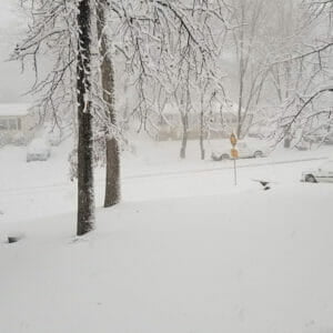 Heavy snow fall