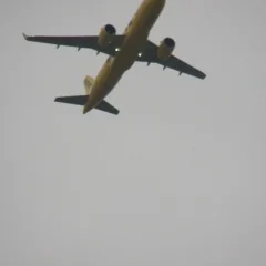 In the flight path baby