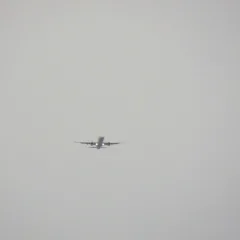 In the flight path baby