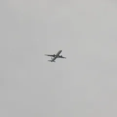 In the flight path baby