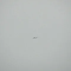 In the flight path baby