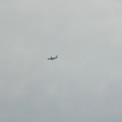 In the flight path baby