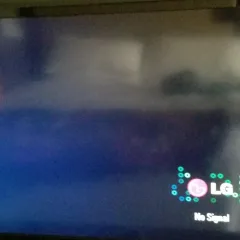 The lovely TV signal today