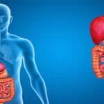 gastroenterologist gastroenterologist