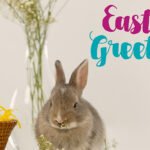 Easter Greetings with a bunny Easter Greetings with a bunny