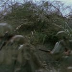 Marines on the island-189 Marines on the island