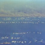 LVT’s hitting the beach LVT's hitting the beach