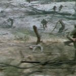 Marine on the island Marine on the island