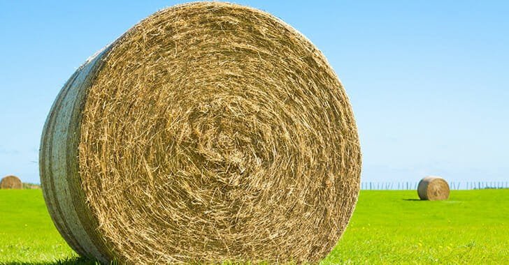 Hay bale