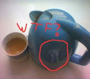 reflectoporn reflectoporn