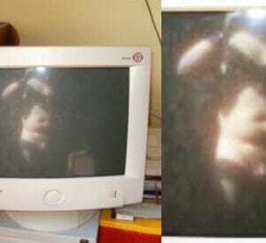 reflectoporn reflectoporn