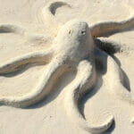 Octopus made out of sand Octopus made out of sand