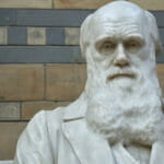 Charles Darwin Charles Darwin
