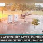 Never stand under a tree Never stand under a tree