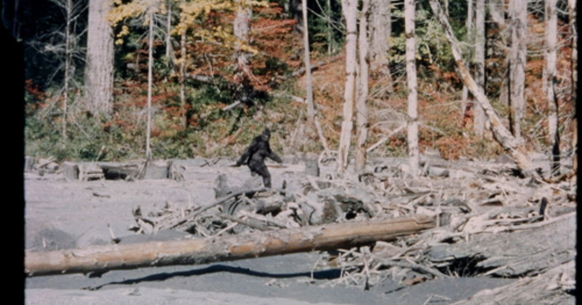 Grainy image of Big Foot from a 1967 filmed by Roger Patterson and Bob Gimlin