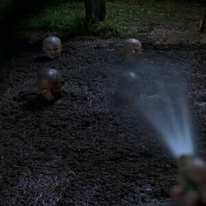 Just a little hazing