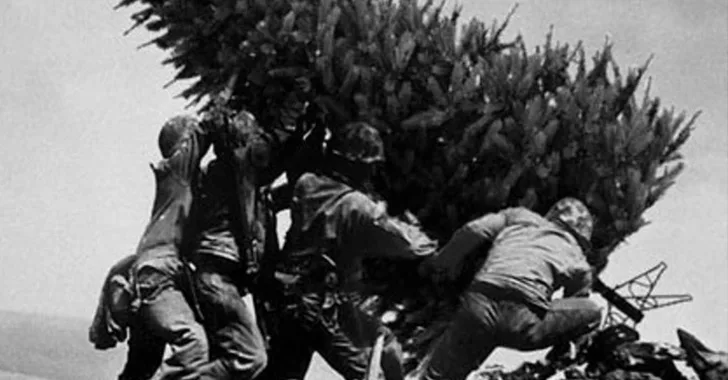 Christmas Tree Raising