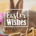 Easter Wishes with a bunny Easter Wishes with a bunny